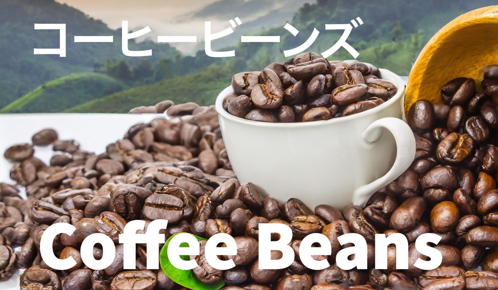 コーヒービーンズ